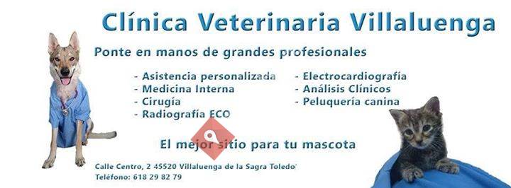 Clinica Veterinaria Villaluenga