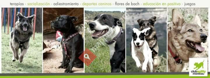 Club Agility Montcau