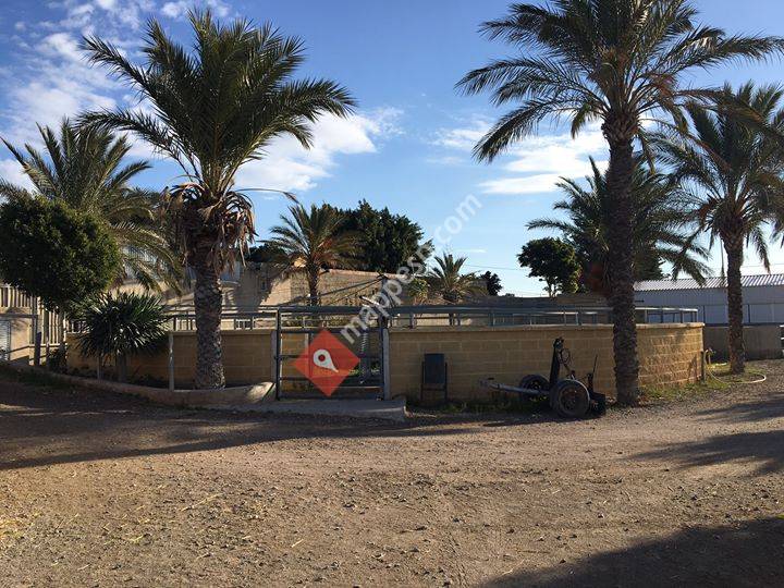 Club hipico el tomillar