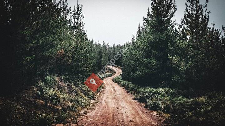 Coach Wotobe - David Serret Ibáñez - Informática y Diseño Web