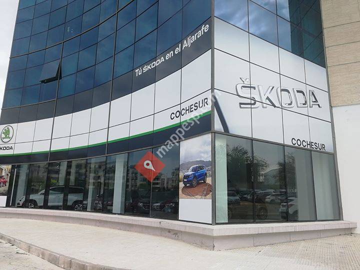 Cochesur Motor