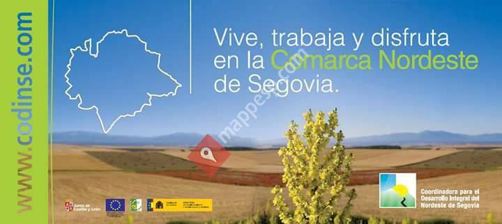 Codinse - Coordinadora para el Desarrollo Integral del Nordeste de Segovia.