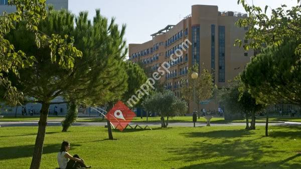 Colegio Mayor Galileo Galilei - Valencia