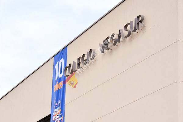 Colegio Vegasur