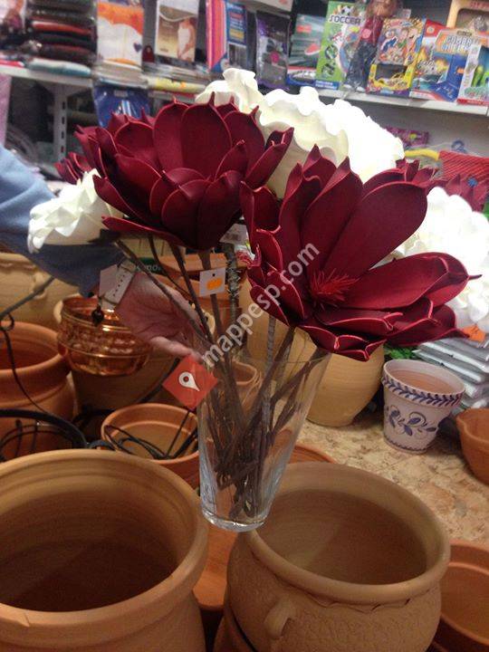 Comercial CELI Y VELA