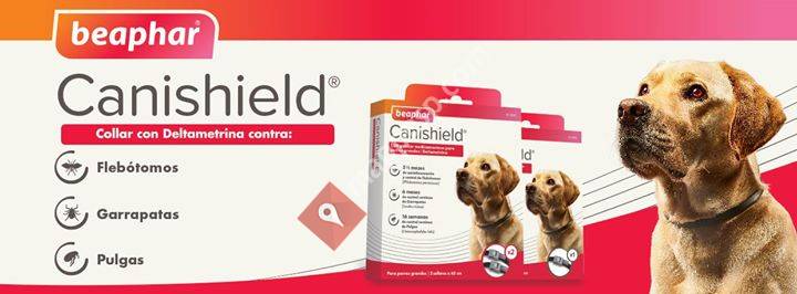 Cominter Animal Health