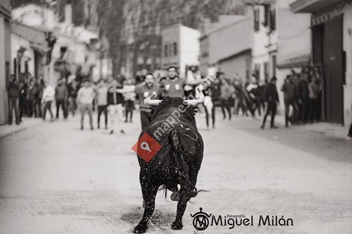 Comisión Toro del Voto, Villoria, Salamanca.