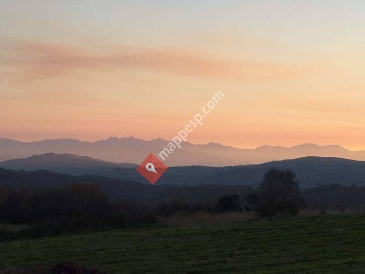 Concello de Bande