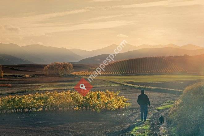 Conde  de Badaran***. La Rioja