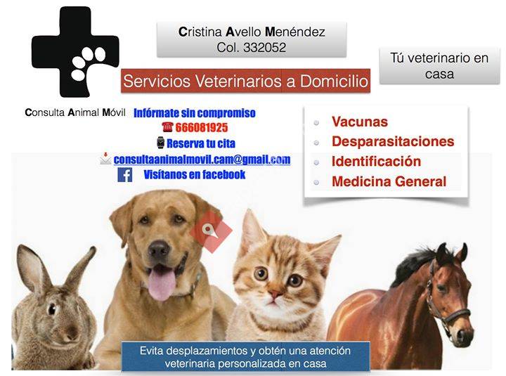 Consulta Animal Móvil CAM