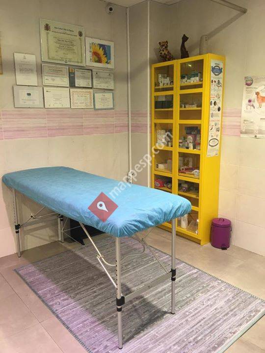 Consultorio veterinario moviecan