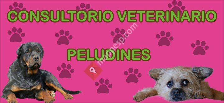 Consultorio Veterinario Peludines