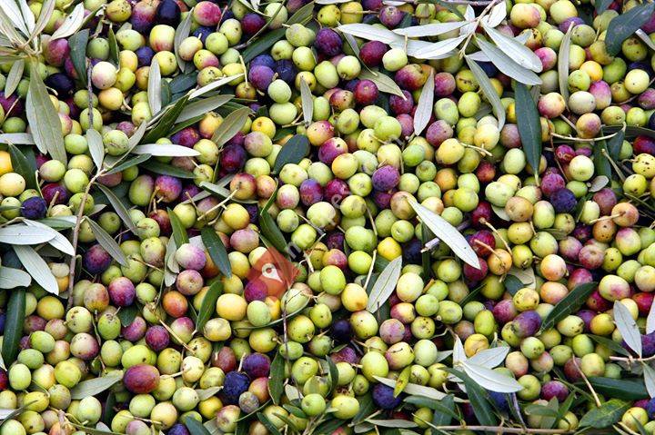 Cooperativa de Vinaixa