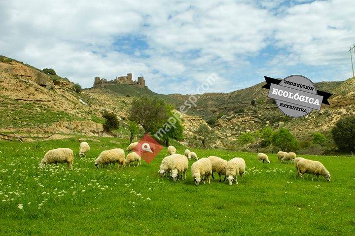 Cordero de Montearagón