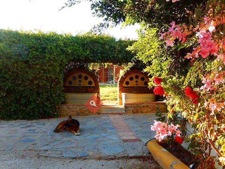 Cortijo Al-hamam