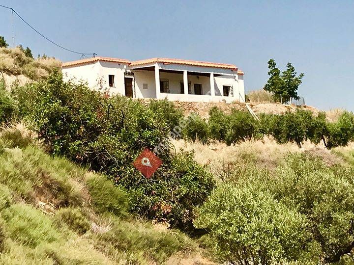 Cortijo Bellavista