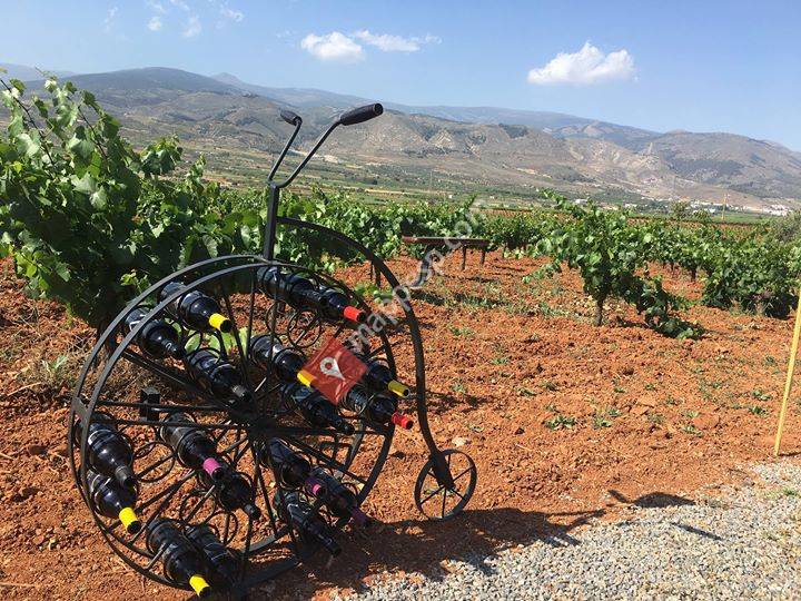 Cortijo El Cura Eco-Bodega
