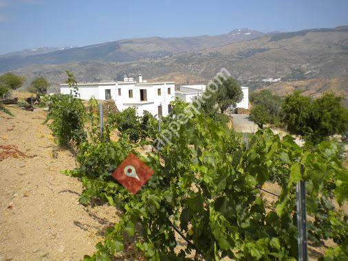 Cortijo el Medico