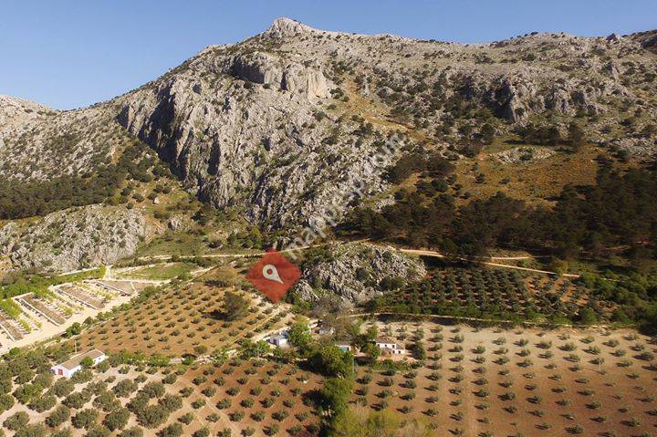 Cortijo la Higuerilla