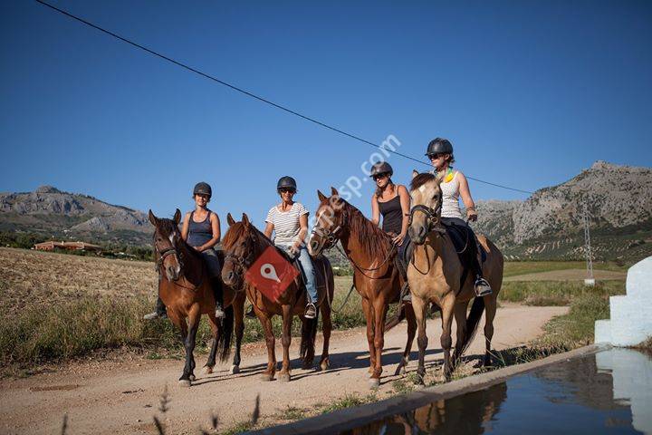 Cortijo Los Lobos - Ethical Horsemanship