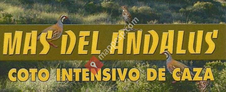 Coto Intensivo Mas Del Andaluz de Abajo, Mas De'n Torres