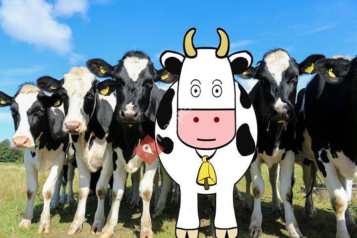 Cow CRM
