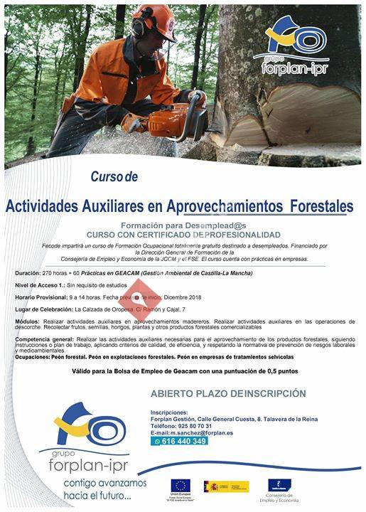 Curso de Aprovechamientos Forestales. La Calzada