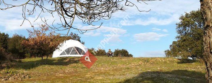 Dalia Dome SL