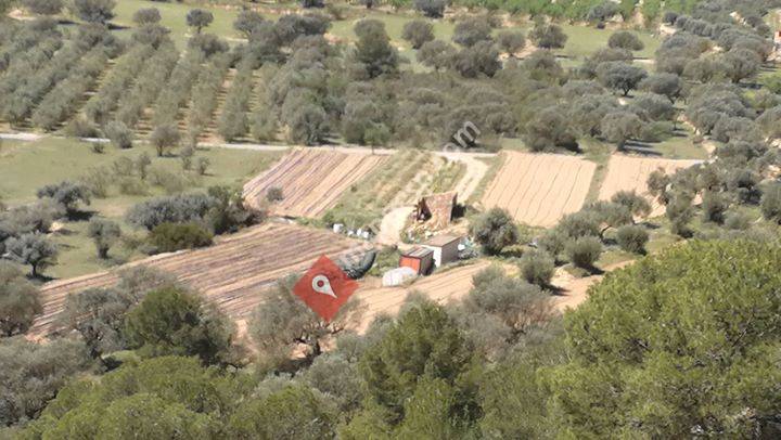 De la Terra al Plat