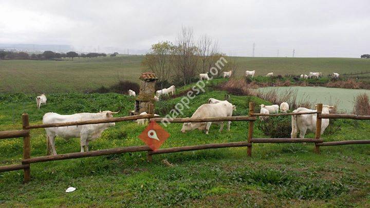 Dehesa Nueva