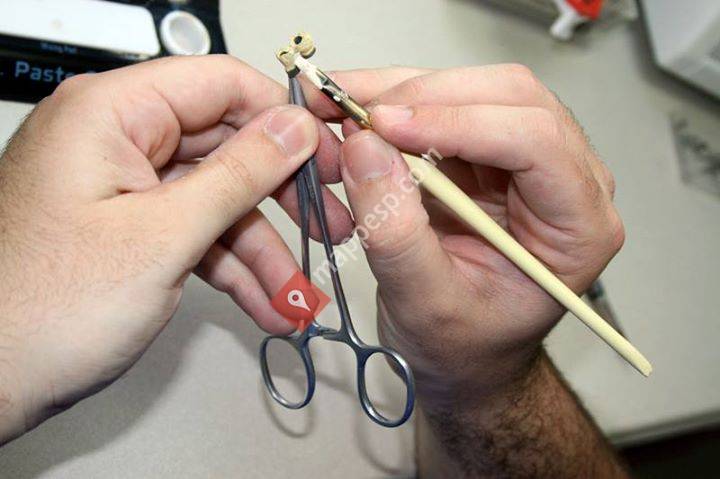 Dentales Sanchís Protésico Dental