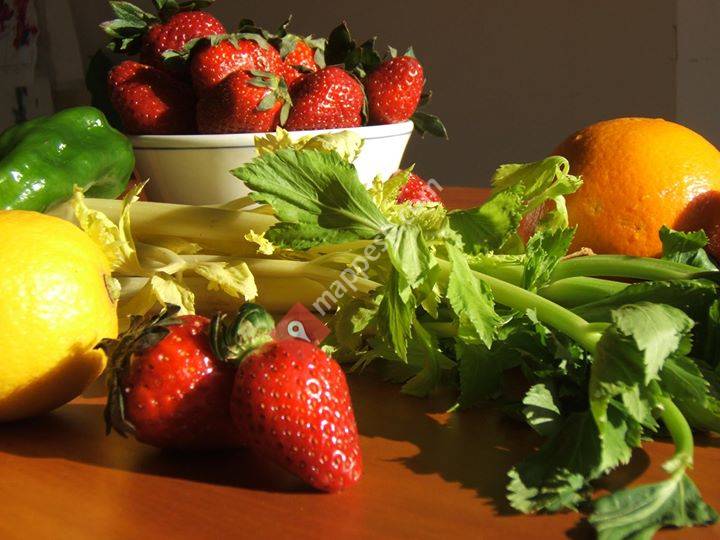 Dietista-Nutricionista