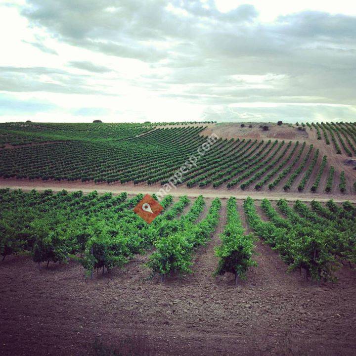 Diez Siglos de Verdejo
