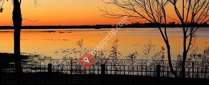 Discovering Doñana