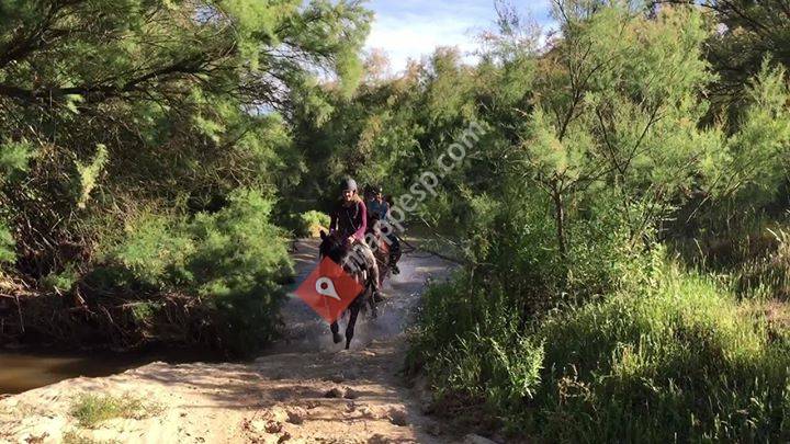 Doñana Horse Adventure