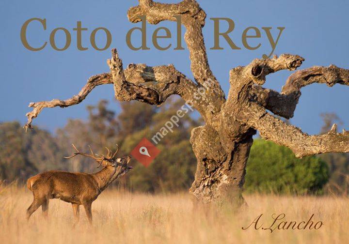 Doñana Nature