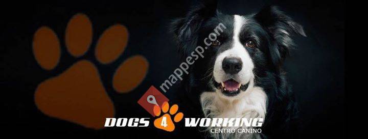 Dogs 4 Working