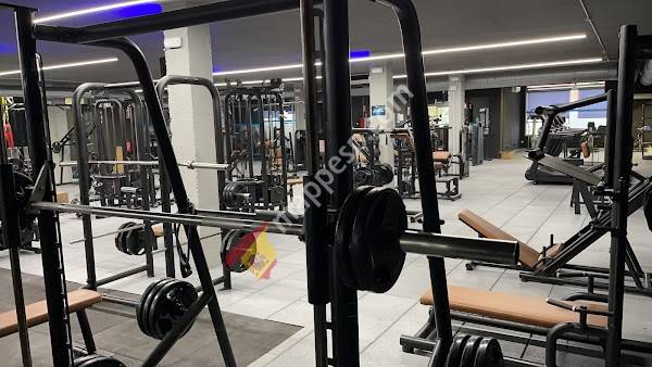 Dolphins Gym
