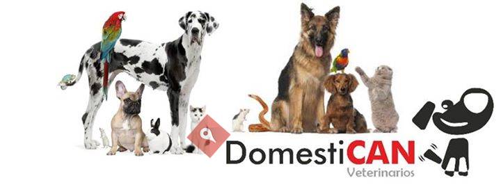 DomestiCAN