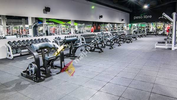 Dreamfit | Gimnasio Valencia