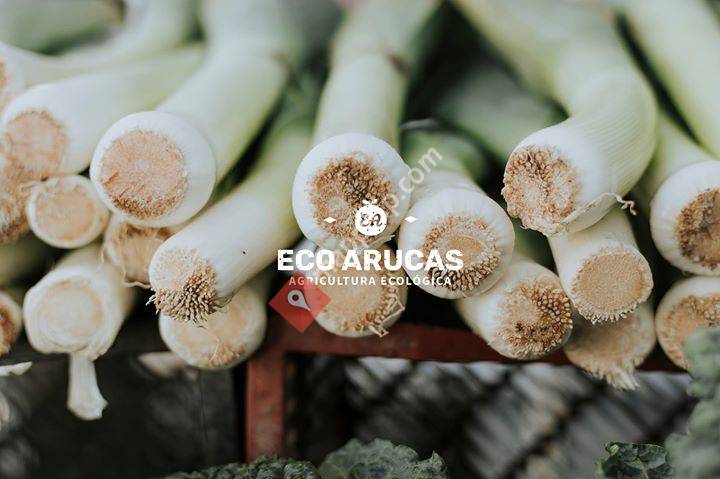 Eco Arucas