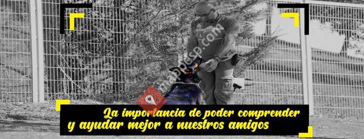 Educacion-canina