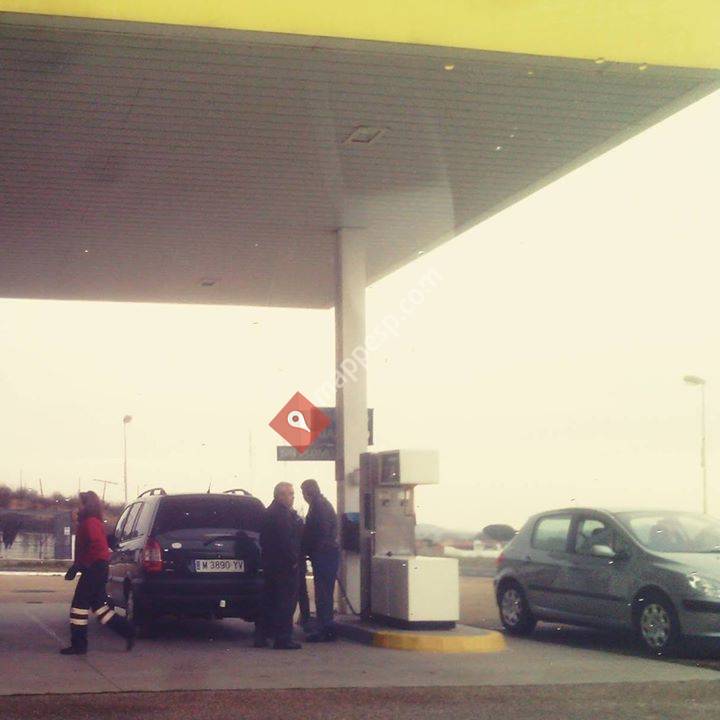 EE.SS. Monumento al Camionero