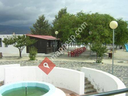 El Albero