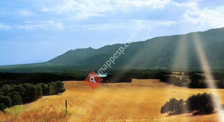 El Almicerán, Andalucia, Spain