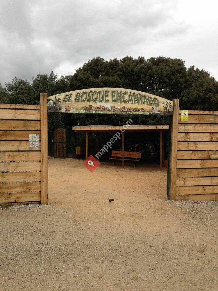 El Bosque Encantado