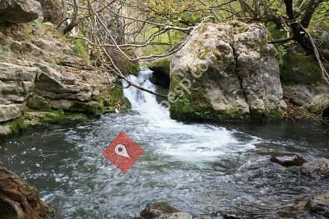 El Bosque Turismo Rural