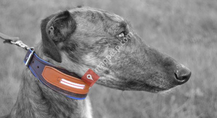 El collar del galgo