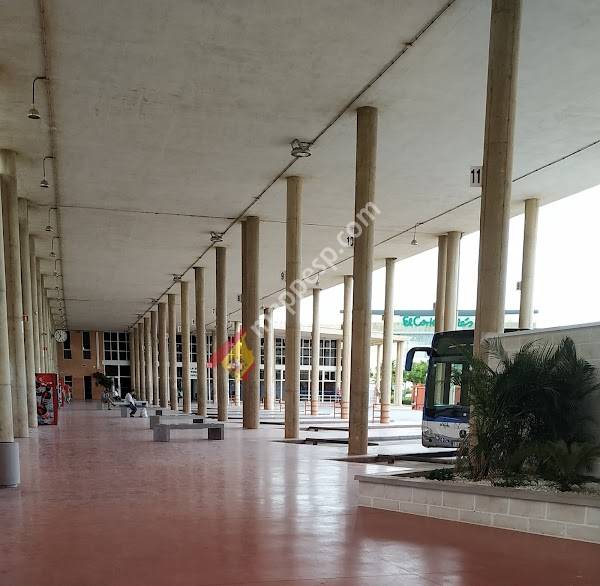El Ejido