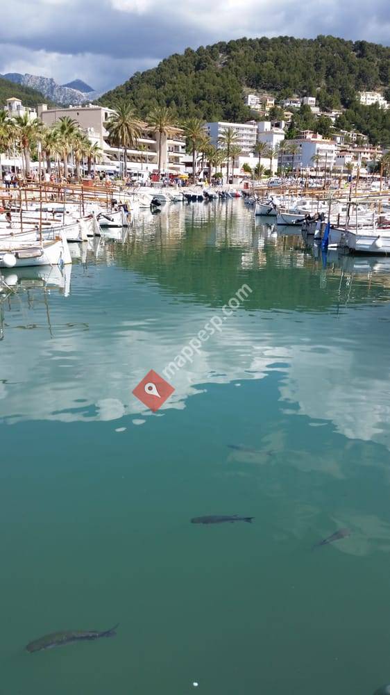 El Moll